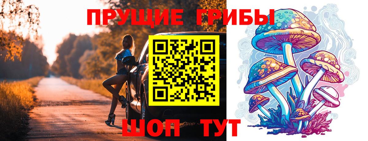 Псилоцибиновые грибы мицелий  Вход с VPN  Выборг 